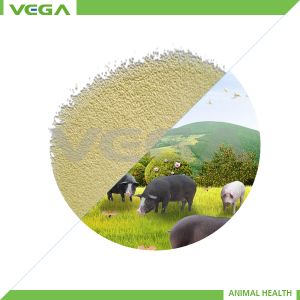 Buy cheap China Kitasamycin 10%/50% Veterinary Premix from wholesalers