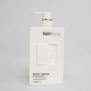 Buy cheap PE Shampoo Bottle-66 with pump from wholesalers