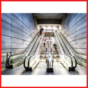 Buy cheap Automatic Induction Moving Walk Escalator Efficient For Large Passenger from wholesalers
