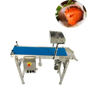 Buy cheap 304 Stainless Steel Snack Enrobing Chocolate Making Machine from wholesalers
