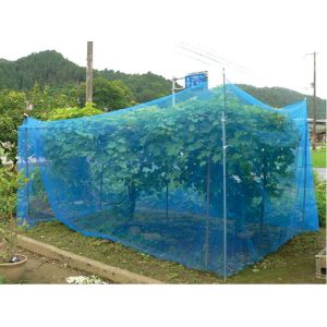 Buy cheap Agricultural Anti Insect Net for Vegetable Gardens Insect Mesh from wholesalers