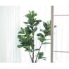 Buy cheap ODM 200cm Height Artificial Potted Floor Plants Fiddle Ficus from wholesalers