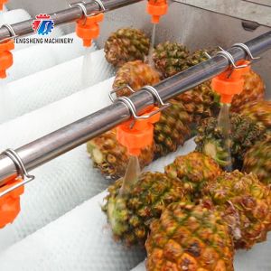 Buy cheap Orange Potato Onions Ginger Potato Carrot Taro Sweet potato Yam Saiko persimmon papaya horseshoe Simple melon and fruit lifting and brush roller from wholesalers