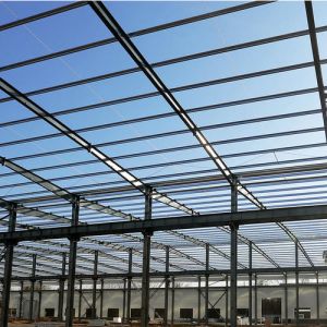 Customized Size Poultry Farm House With Steel Tiles Shot Blasting And Painting