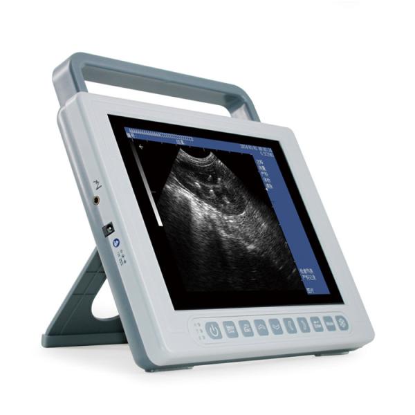 Quality Veterinary Medical Ultrasound Machine 2D B Mode Ultrasound Scanner GHK10 for sale