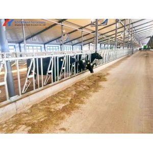 Buy cheap Steel Cattle Sheds Easy Install Prefabricated Cow Farm Building from wholesalers