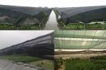 Buy cheap black color HDPE sun shade net 3*100meter for greenhouse use from wholesalers
