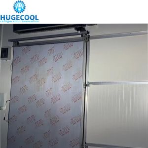 Air Cooled Walk in Chiller Freezer for Vegetables and Fruit Customizable Cooling