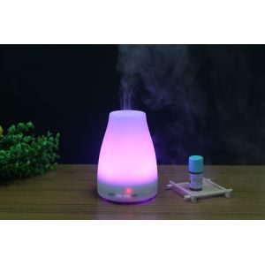 Aromatherapy Sprayer Aroma Oil Diffuser 120ml 10W PSE
