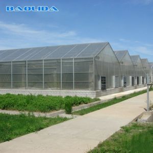 Buy cheap Agricultural Flowers Shading Multi Span Hot Dipped Galvanized Polycarbonate Greenhouse from wholesalers
