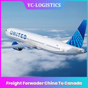 China FBA Amazon Express International Courier And Cargo China To Canada on sale