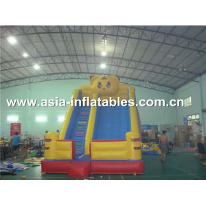 Buy cheap Customized Party Rental Slide In Tiger Desisn For Kids from wholesalers