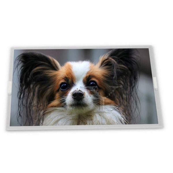 Quality G101EAN02.0 New 10.1-Inch 1280*800 Full View IPS TFT LCD Display with High Brightness LED Backlight for sale