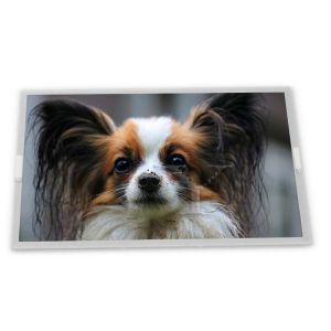 Buy cheap WLED 1024*600 Lcd Panel 10.1 Inch Lcd Screen Module M101GWN9 R2 . from wholesalers