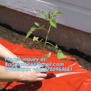 Buy cheap Pe Mulch Film With Holes For Agriculture Perforated Red Plastic Mulch For Peppers Crop Cover For Tomatoes from wholesalers