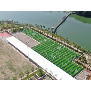 Density 50mm Artificial Football Pitch With 16.5 Stitches For Optimal Playabilit