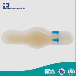 Hydro Seal Adhesive Bandages for Heel Blisters Waterproof Blister Pad &