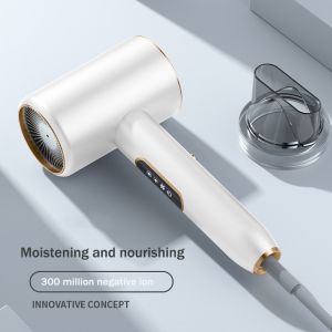 2000W Powerful High Speed Hair Blow Dryer LCD Liquid Crystal Display Negative