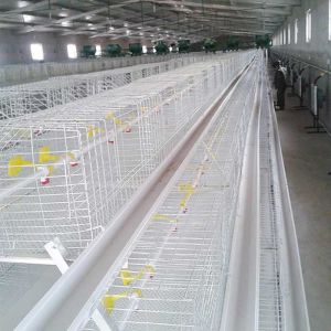 Buy cheap Custom Commercial Meat Chicken Cages, Durable Chick Breeding Cage from wholesalers