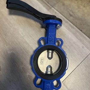 18 Inch Butterfly Valve Wafer Type Dual Plate Check with Customized Service and