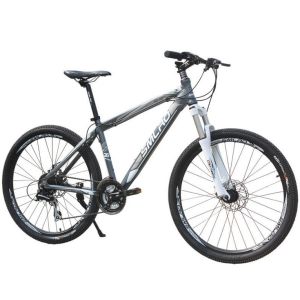 China Customized Aluminum Alloy Kids Mountain Bikes on sale