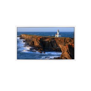 Buy cheap 49 inch 1920*1080 DV490FHB-NV1 LCD Screen for Video Wall from wholesalers