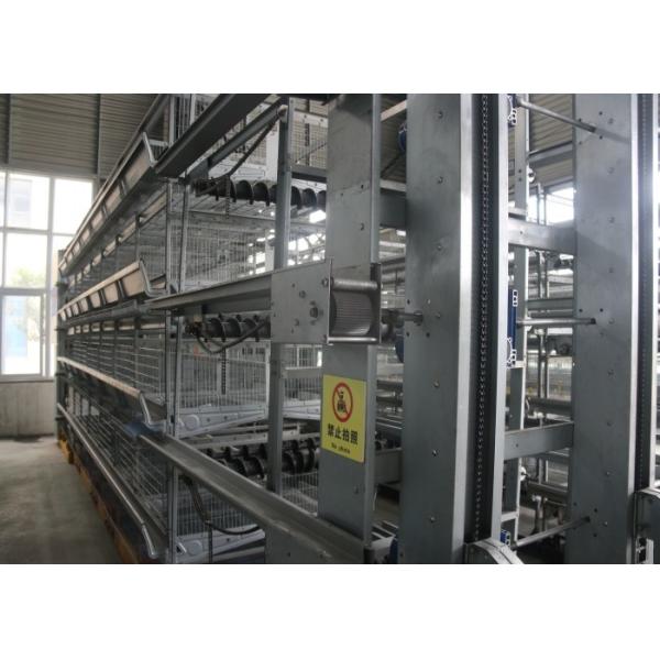 Quality Industrial Layer Poultry Farming Equipment Silver Cage System In Poultry for sale