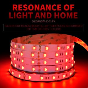 IP20 IP65 IP67 IP68 waterproof high quality led strip DC12V/24V 30 leds 5050