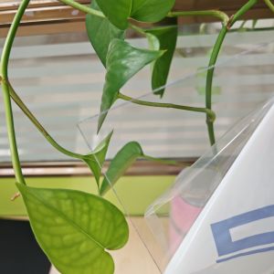 Buy cheap Plastic Polycarbonate Sheet Known for High Tensile Strength and Durability Suitable for Machine Guards Windows and Display Panels from wholesalers