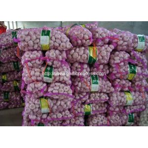 Buy cheap Garlic Dosing Mesh Bag Packing Machine from wholesalers