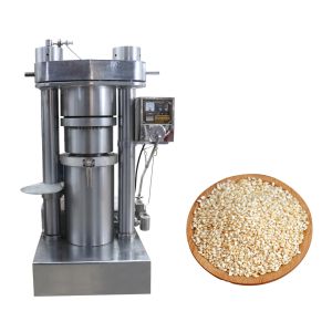Buy cheap Sesame Hydraulic Oil Press 60 MPA Hydraulic Cold Press from wholesalers