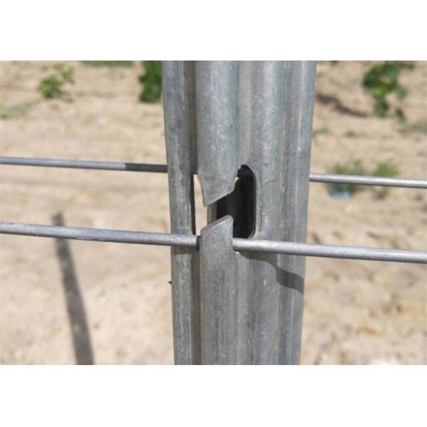 Quality Hot Galvanized Surface Steel Vineyard Posts Rust Resistant And Waterproof for sale