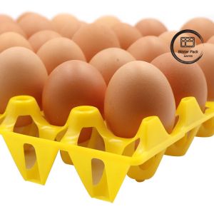 Buy cheap 30 Egg Blister Tray Colorful Plastic Crate Durable Thermoformed Plastic Trays For Chicken Farm from wholesalers