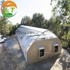 China Light Deprivation Span Greenhouse for Mushroom 4.5m 6m Top Height and Roof Ventilation on sale