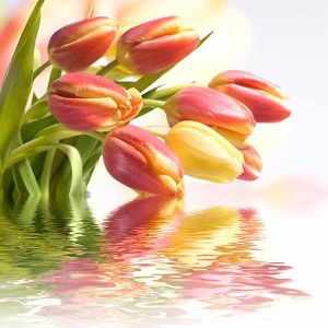 Buy cheap 100% blackout printed roller blind window decoration / Motorized roller blinds for window / 3D printed roller shade from wholesalers