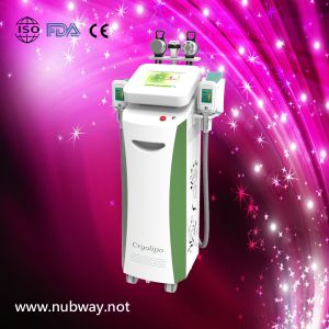 Buy cheap TUV Approval Effective Cryolipolysis Cool Freeze 40KHZ Cavitation Ultrasound Dissolve Fat Machine from wholesalers