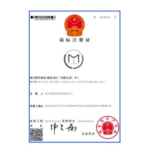 Wuhan Magnate Technology Co., Ltd. Certifications