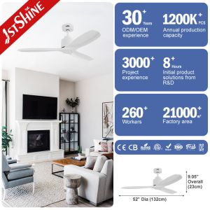 52 Inch White Solid Wood Blades DC Motor LED Ceiling Fan Not Equipped NO App