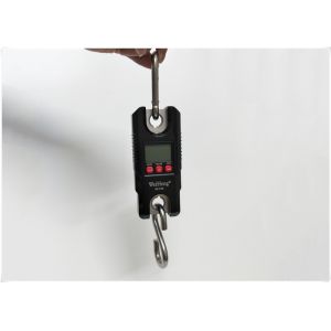 Quality Multi Units Conversion Electronic Crane Scale With Overload Protective System for sale Buy cheap Multi Units Conversion Electronic Crane Scale With Overload Protective System product