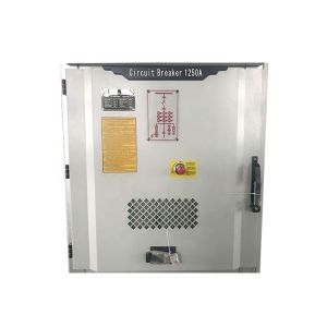 Switch Cabinet Outgoing Complete LV Switchgear Electrical