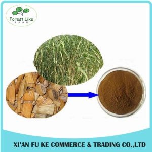 High Quality Hydrangea Root Extract Powder 5:1 - 20:1