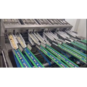 China 12 Lanes 12 Outlets Cashew Sorting Machine 1000kgs/Hour with 360° Rotating Scanning and Deep Learning Technology on sale