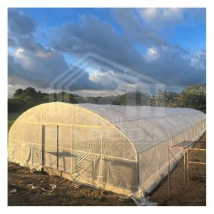 Buy cheap 6x15m Multipurpose Tunnel Greenhouse With Superior Light Transmission from wholesalers