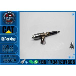 Buy cheap Injector 10R-7672 306-9380 2645A734 282-0490 2645A709 C6.6 E312D 313D 320D 321D from wholesalers