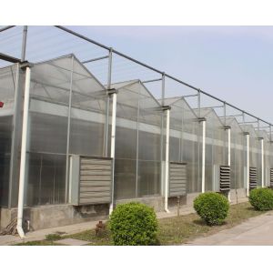 Buy cheap Multi Span Polycarbonate Greenhouse from wholesalers