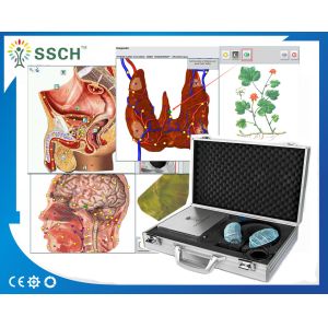 Buy cheap 4025 Hunter Body Analyzer for Detecting Health Metatron NLS from wholesalers