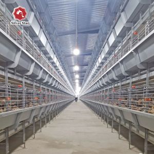 Buy cheap H Type Hot Galvanized Chick Brooder Cage 5 Tiers 170 Birds product