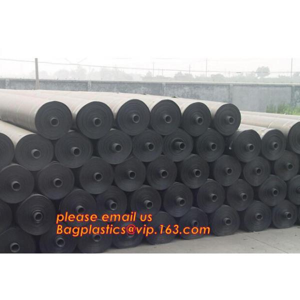 Polyester Needle Punched Nonwoven Geotextile Membrane price,Polyester Needle