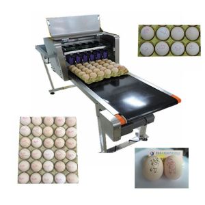 Smart Eggs Inkjet Batch Coding Machine Can Print 120000 Characters Per Hour