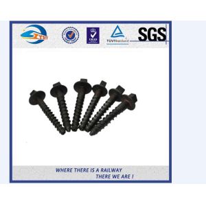 Customized Standard 35# Double-Head Railway Sleeper Screws Rail Fasteners